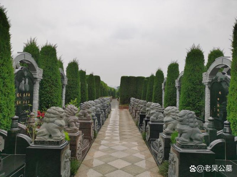 探寻朗润金马福地，开启财富之旅