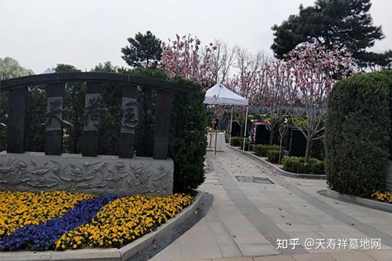 朗润金马：见证财富之光