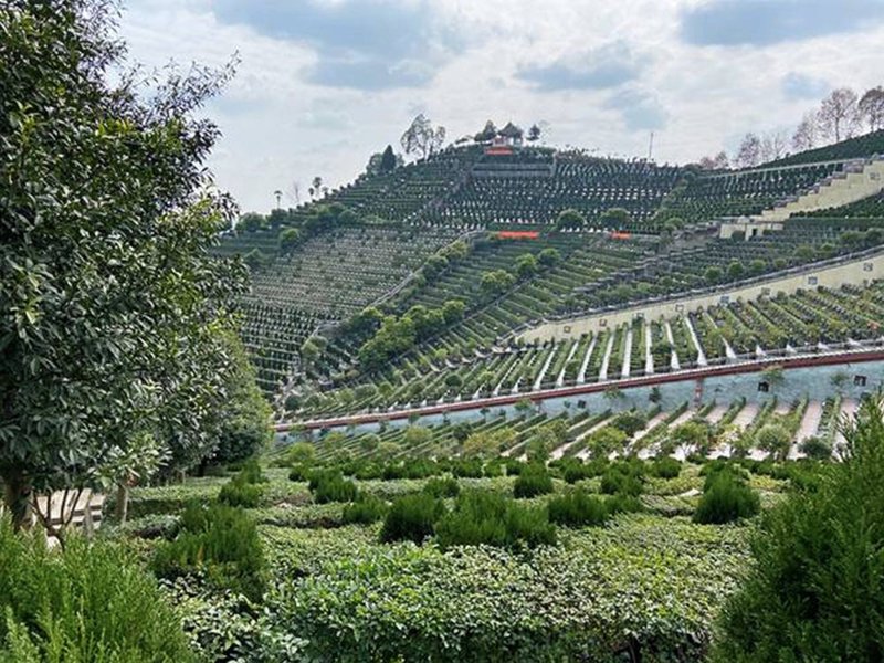 温江墓园：现代人生死两全的智慧选择
